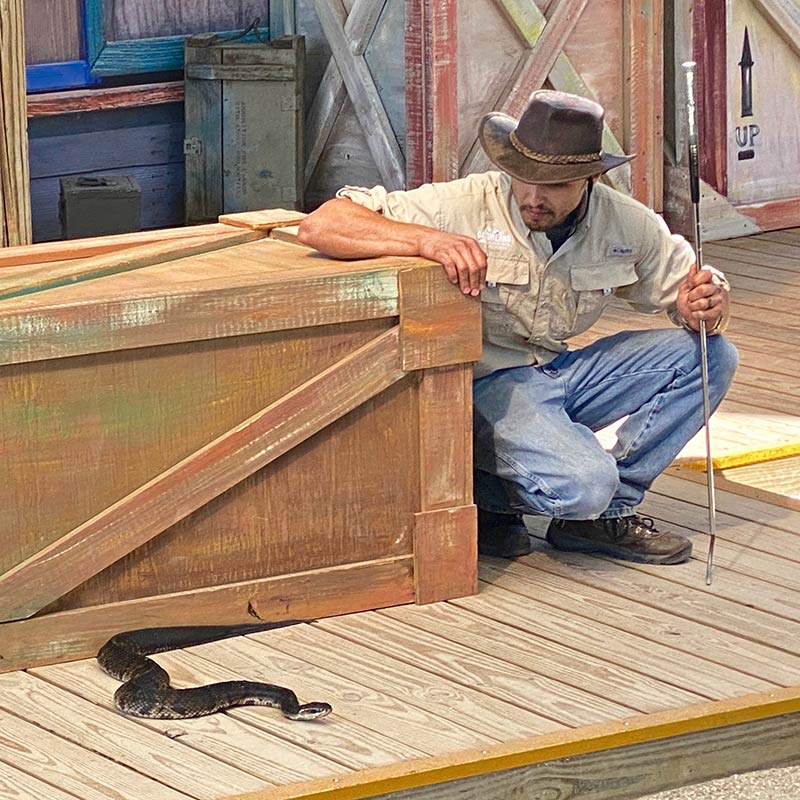 stay away from that diamond back rattle snake at the upclose show