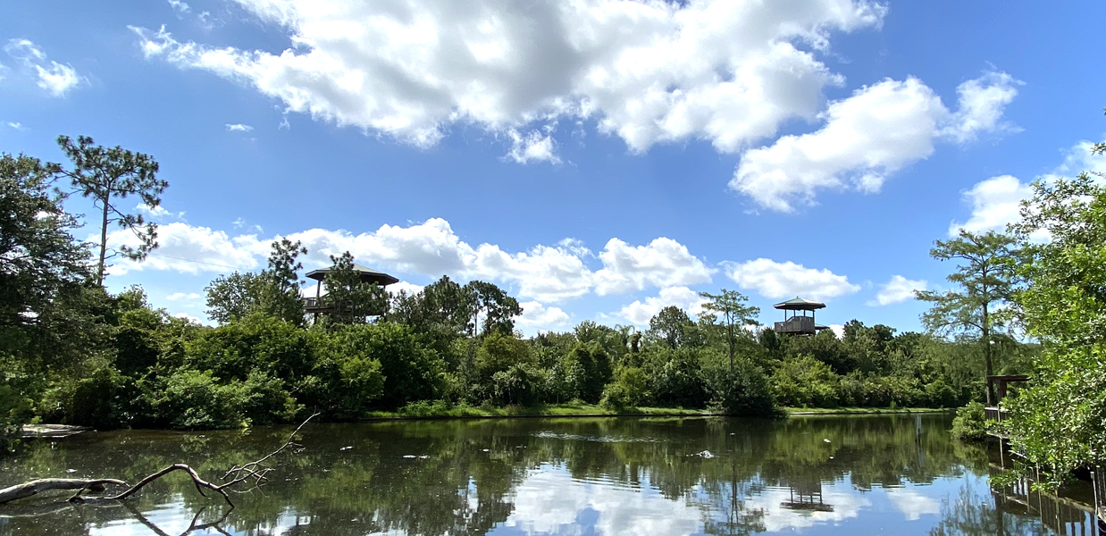 Gatorland lake background image