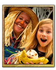 Friendly Scarecrow image