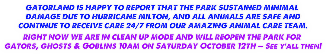 Gatorland statement