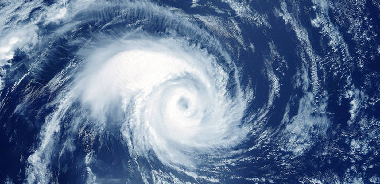 Gatorland Closed due to Hurricane Milton