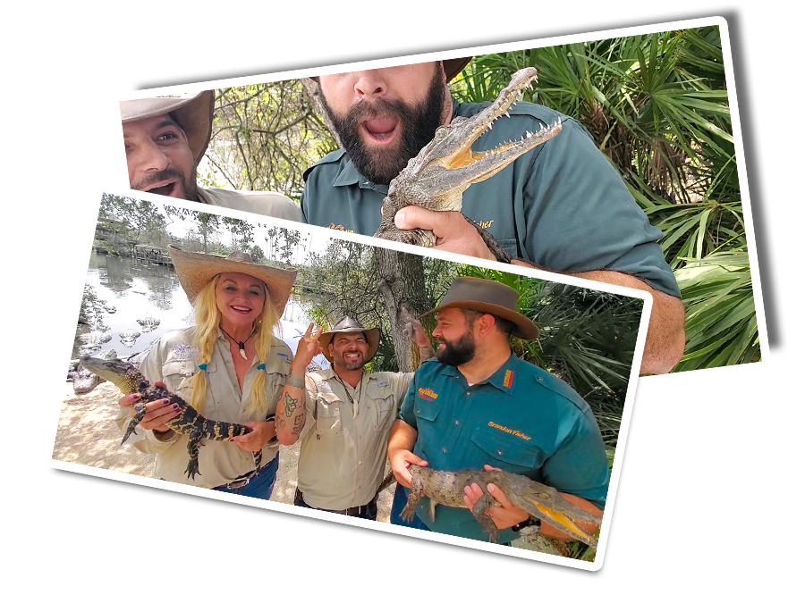 School of Croc pictures