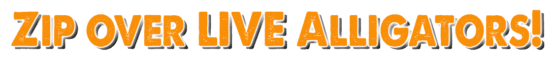 Zip over LIVE Alligators