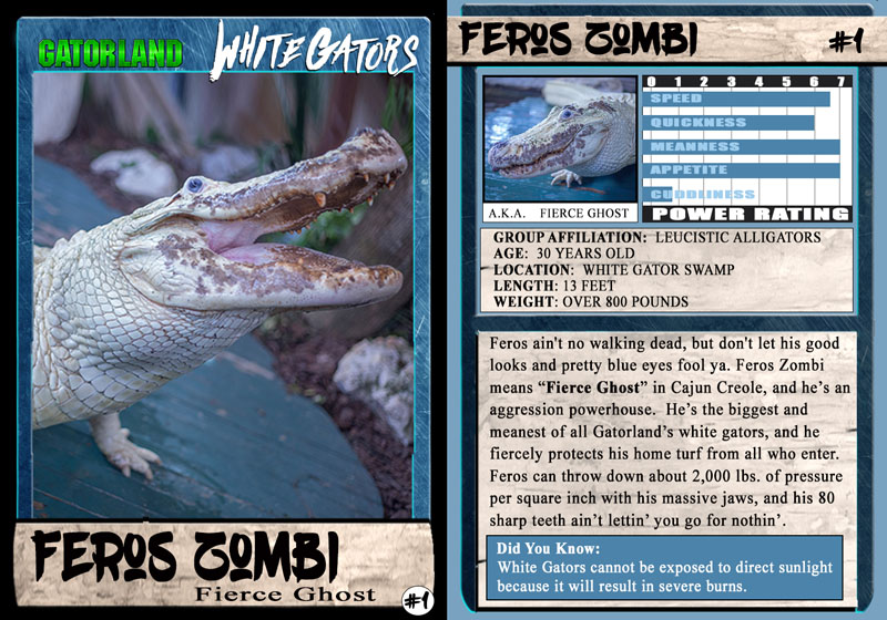 Feros Zombi | White Gator Trading Cards | Gatorland | Orlando Florida Family Adventure Theme Park