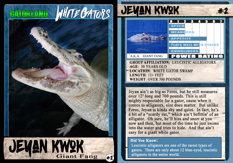 Jeyan Kwok | White Gator Trading Cards | Gatorland | Orlando Florida Family Adventure Theme Park