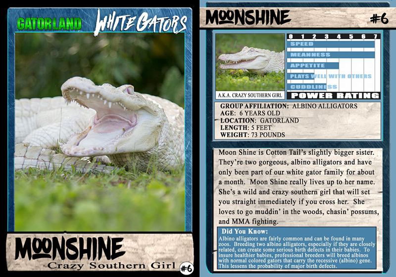 Moonshine | White Gator Trading Cards | Gatorland | Orlando Florida Family Adventure Theme Park